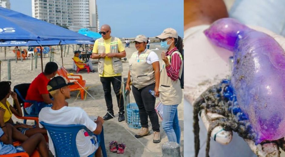 El EPA en Cartagena adelantó pedagogía sobre la 'fragata portuguesa' en las playas.