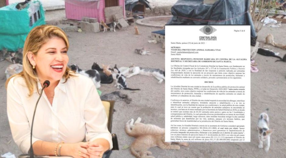 La Contraloría confirmó las denuncias de la Veeduría de Bienestar Animal