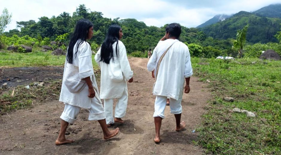 Entregan 490 hectáreas para resguardo Kogui y firmantes de Paz en La Guajira