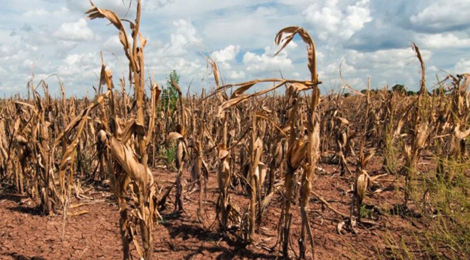 Unión de Científicos Conscientes. Las fuertes temperaturas podrían seguir aumentando en Latinoamérica