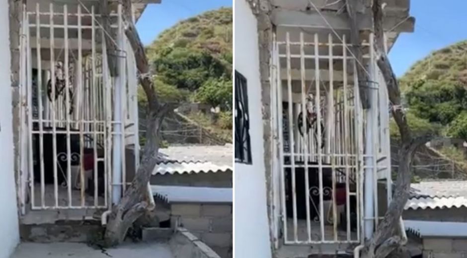 Cortesía Lugar de los hechos.