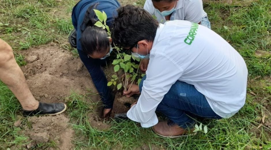 Actividades de Corpamag - imagen de contexto.