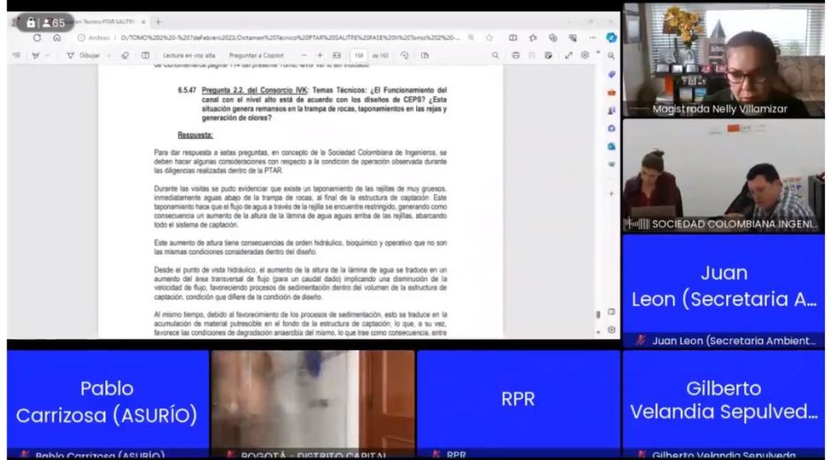 Capture de pantalla de la audiencia.