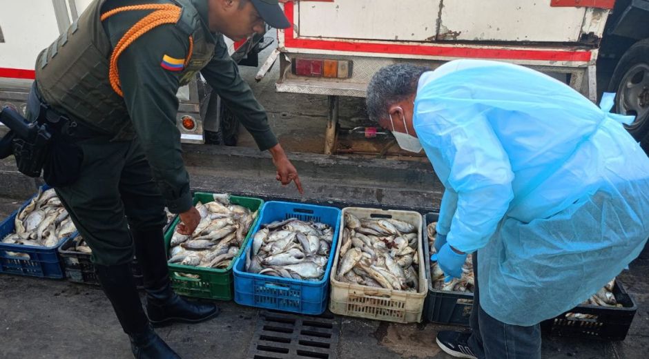 Incautación de pescado en mal estado.