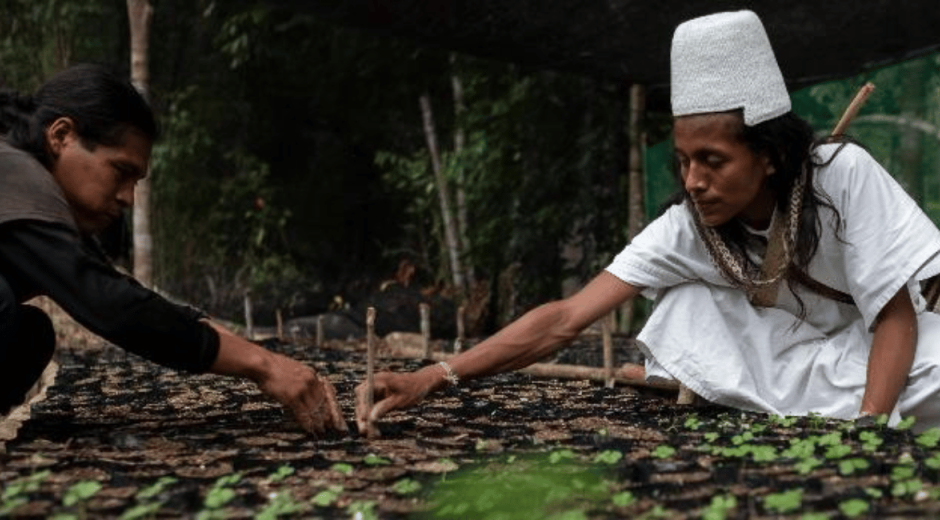 Pueblo indígena Arhuaco.