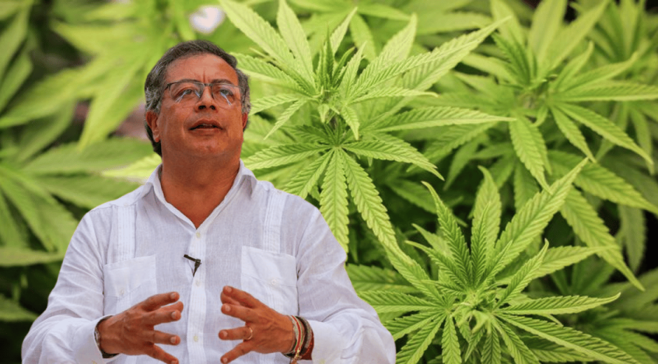 Petro pide al Congreso legalizar el cannabis "para aprovechar el mercado mundial"