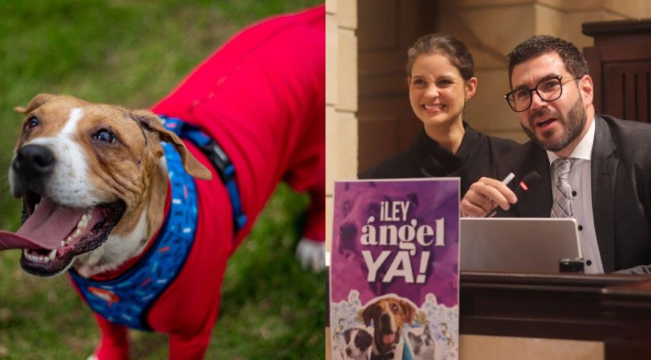 Cortesía Ley Ángel