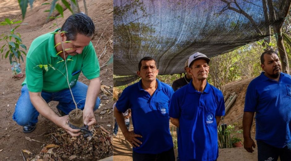 Conductores del Setp en actividad de siembra de árboles. 