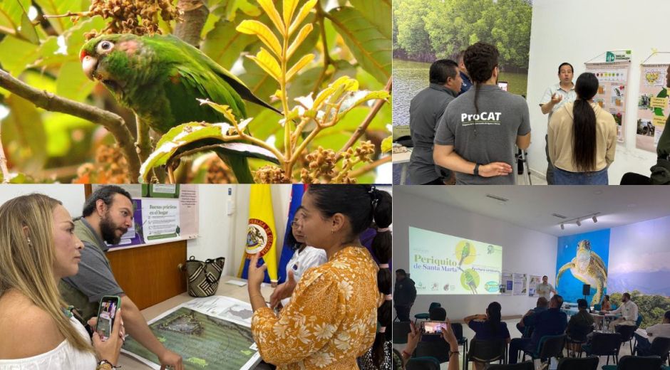 Cortesía Taller liderado por CORPAMAG y PROCAT