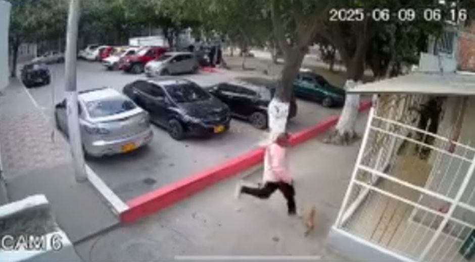 Cortesía Momento en el que este sujeto golpeó mortalmente al perrito.