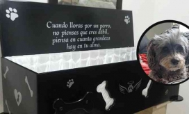 Mensaje de despedida a 'Motas'