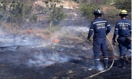 Bomberos atendieron emergencia en cercanías a la bomba Zuca. 