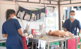 Las mascotas fueron atendidas en la Unidad de Esterilización Móvil.