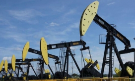 Imagen de referencia.