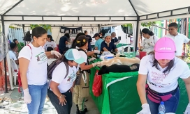 Fueron esterilizados 2.047 animales, de los cuales 933 eran caninos y 1.114 felinos. 