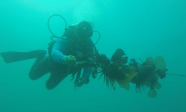 Imagen de ilustración.