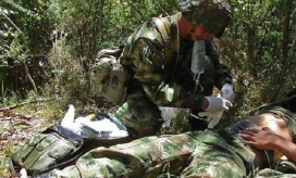 Imagen de referencia.