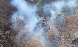 Incendio atendido por el Cuerpo de Bomberos.
