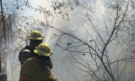 Bomberos atienden la emergencia. 