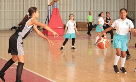 Imagen de referencia.