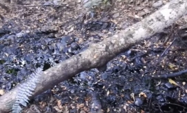 Así se encuentra la zona después del derrame de crudo. 