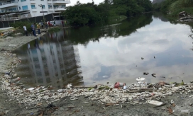 Mortandad de peces en la desembocadura del río Manzanares.