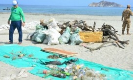 Imagen de referencia.