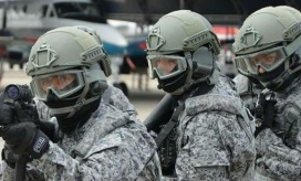 Imagen de referencia.