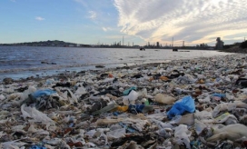 Imagen de referencia.