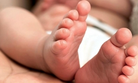 Imagen de referencia