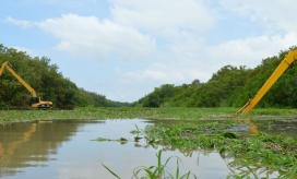 Ciénaga Grande de Santa Marta.