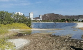 Humedal en el sector de Pozos Colorados.