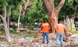 El Dadsa anunció acciones de compensación.