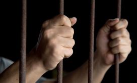 Imagen de referencia.