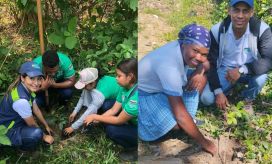 Corpamag se une a la celebración del Día Mundial del Árbol 