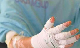 imagen de referencia