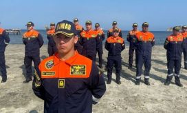 Imagen de referencia.