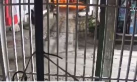 Captura de pantalla de video suministrado. 