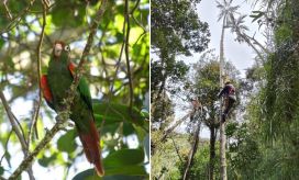 Lugar de los hechos. 