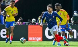 Partido Colombia vs. Francia 