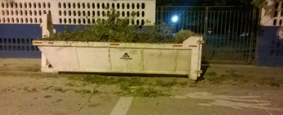 Árboles talados en la avenida del Libertador.