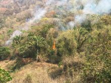 Necesitan apoyo aéreo para controlar el fuego.