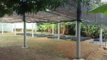 Este es un vivero ambiental que ya fue inaugurado en Montería.
